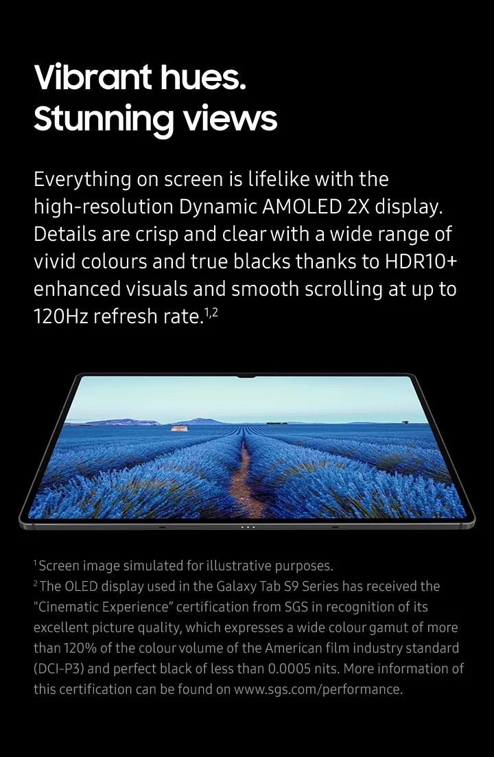 Samsung Galaxy Tab S9 5G