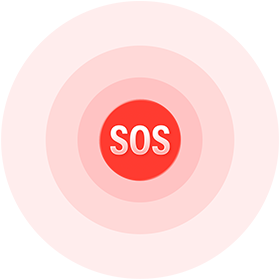 Emergency SOS icon