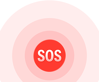 Emergency SOS icon