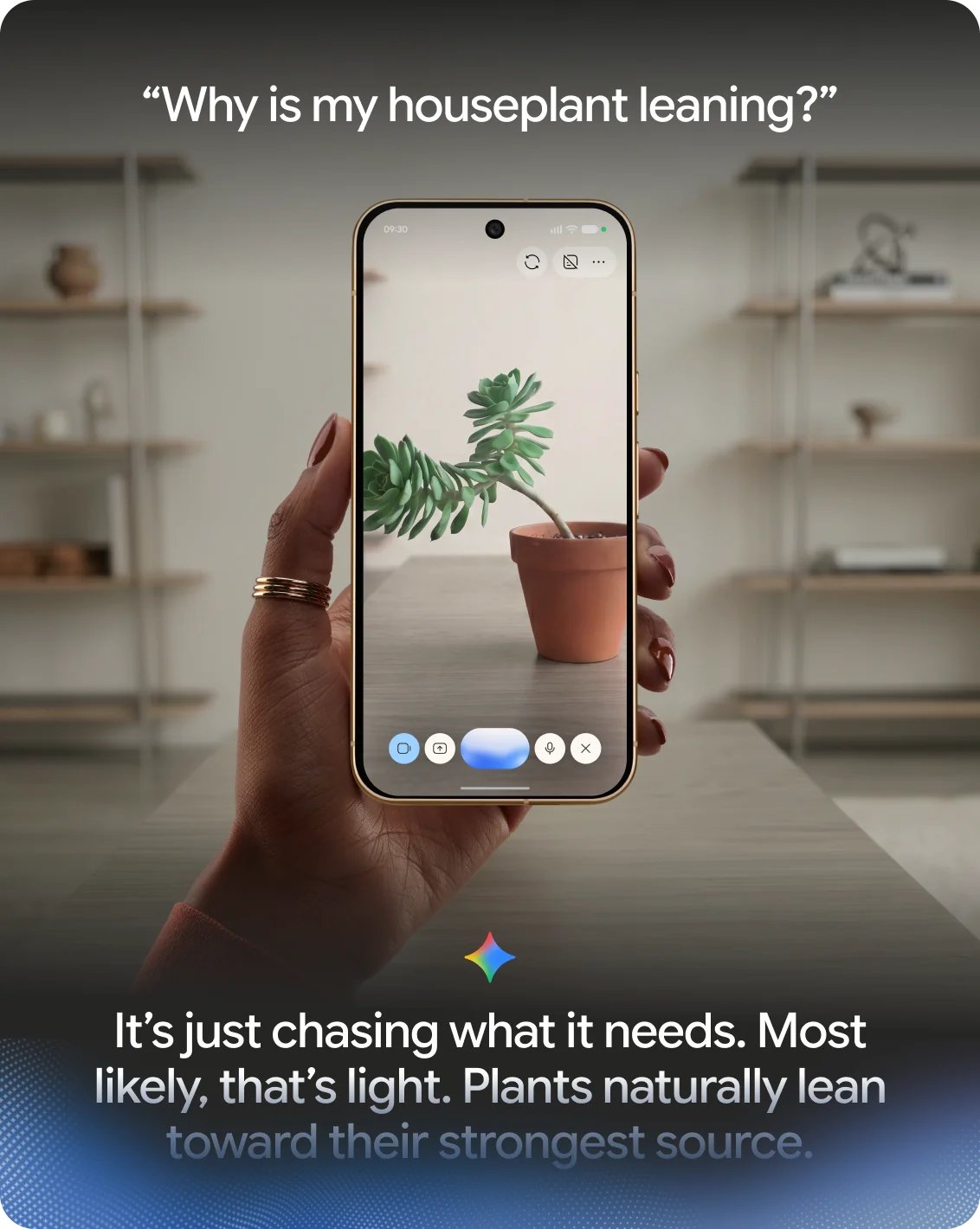 Gemini Live using the camera to talk about a houseplant