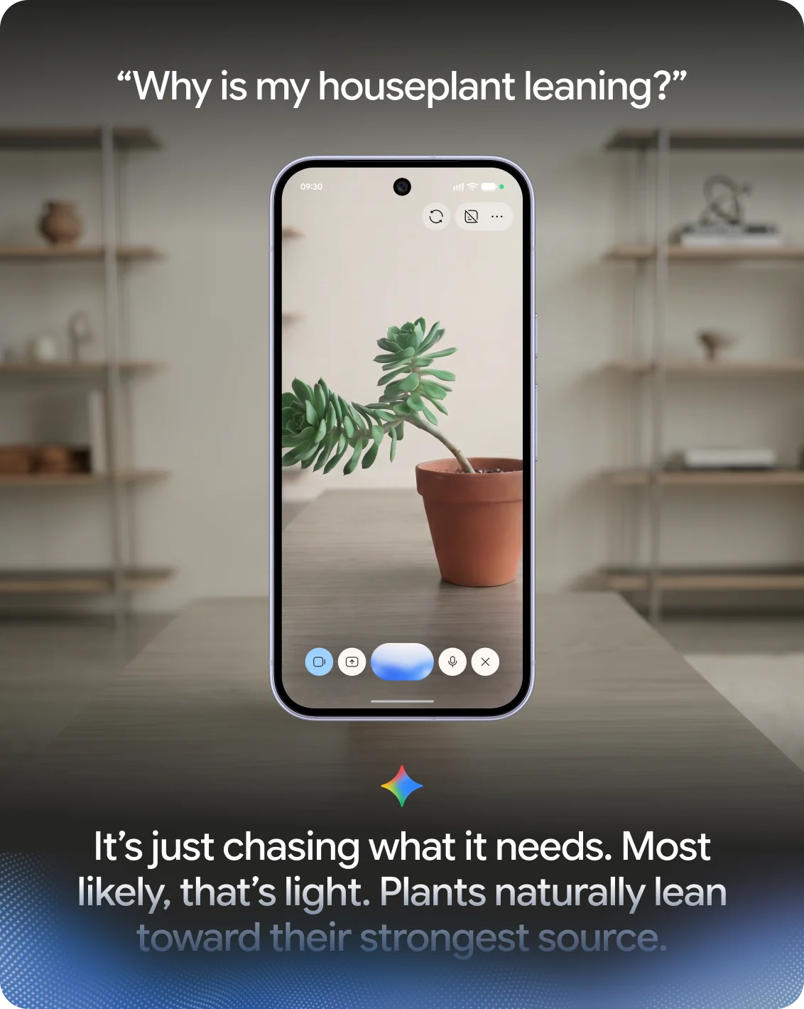 Gemini Live using the camera to talk about a houseplant
